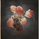 Image for article titled Dramatic diagrams of cell biology and atomic structure belong in a beautiful textbook